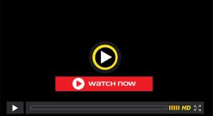 new viral video